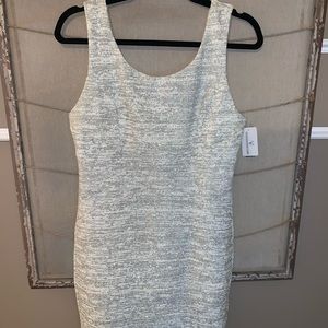 NWT Windsor Bodycon Sparkly Dress. Size 11/Large